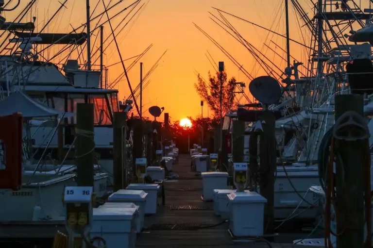 Florida liveaboard marina sunset